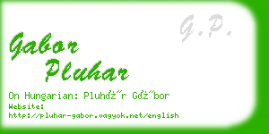 gabor pluhar business card